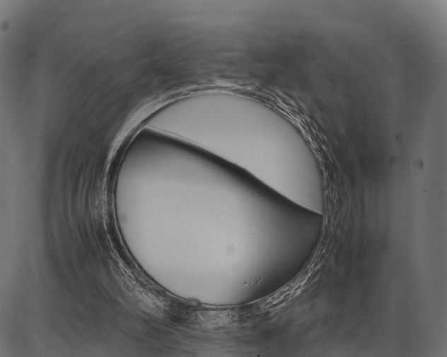 X0000086740102200704130743