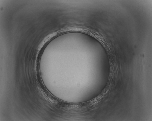 X0000086740104200704130743