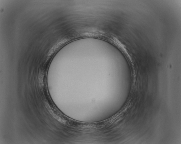 X0000086740106200704130743