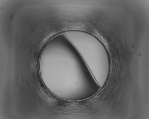 X0000086740107200704130743