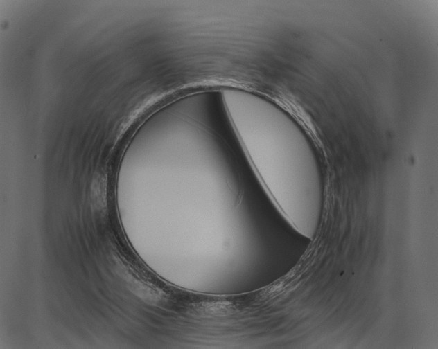 X0000086740108200704130743
