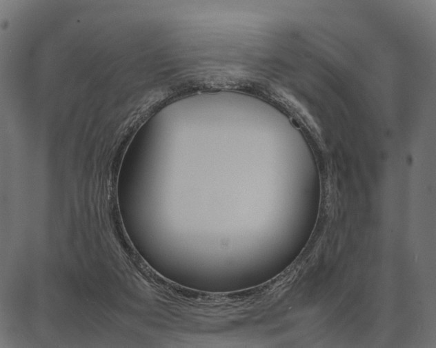 X0000086740113200704130742