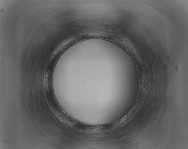 X0000086740116200704130742