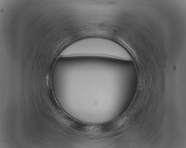 X0000086740117200704130742