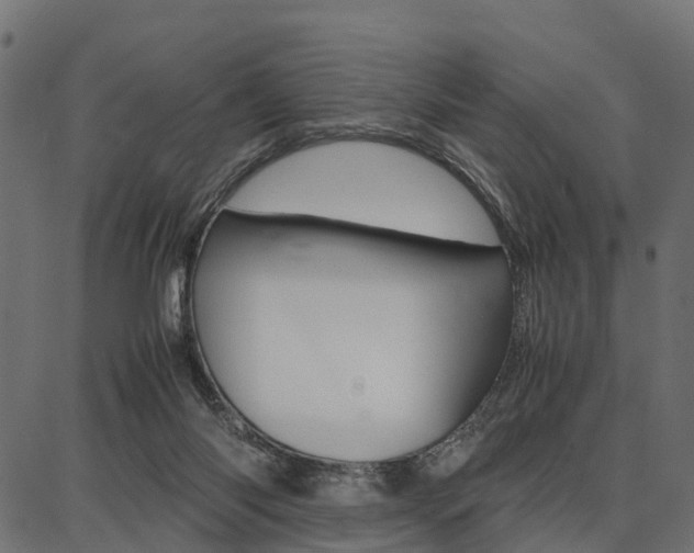 X0000086740118200704130742