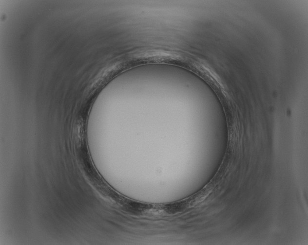 X0000086740119200704130742