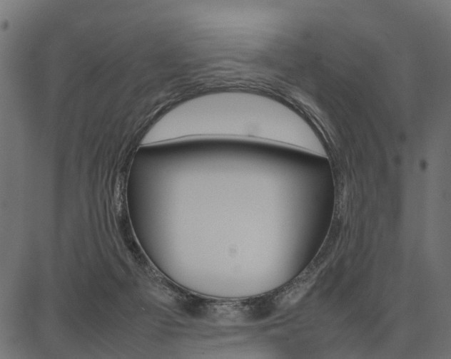 X0000086740121200704130742