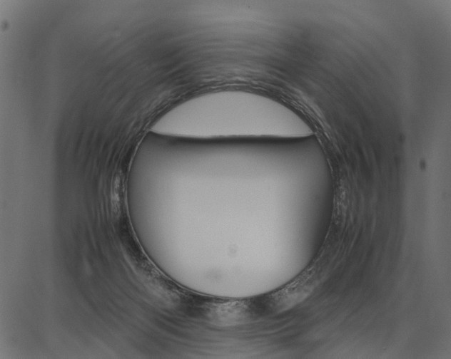X0000086740122200704130742