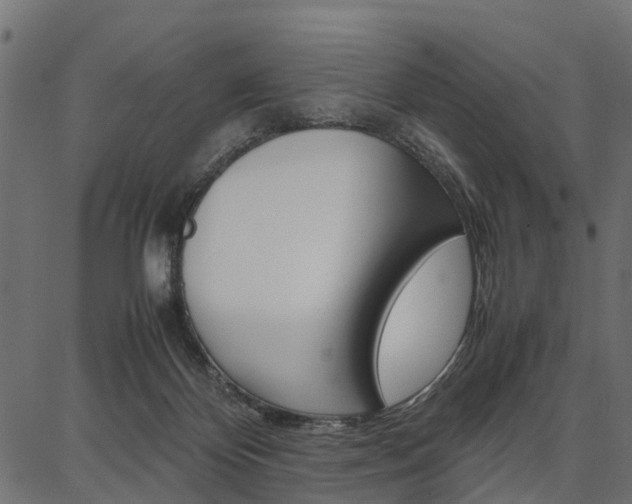 X0000086740124200704130742