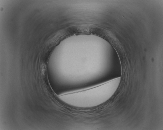 X0000086740125200704130742