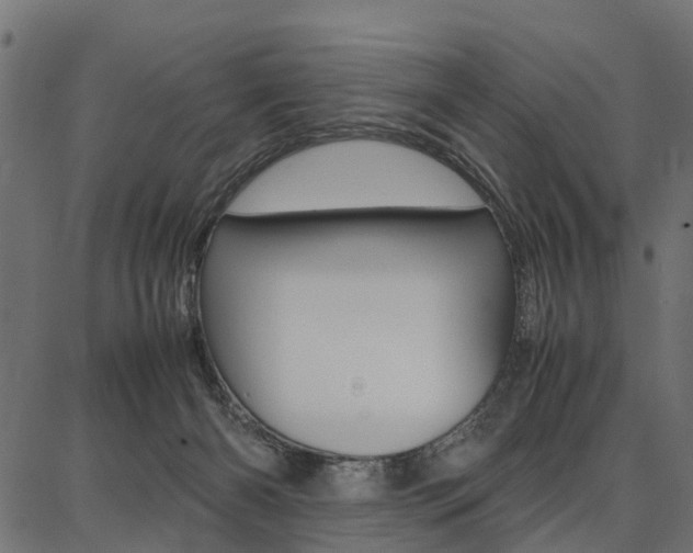 X0000086740126200704130742