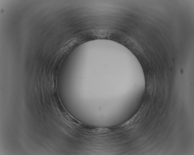 X0000086740128200704130742