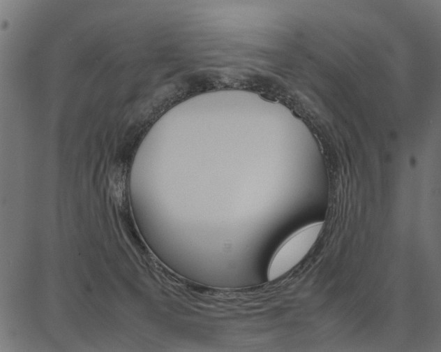 X0000086740129200704130742