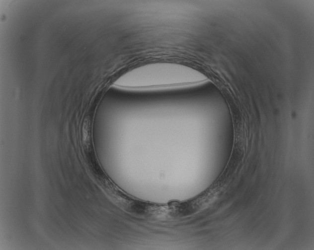 X0000086740131200704130742