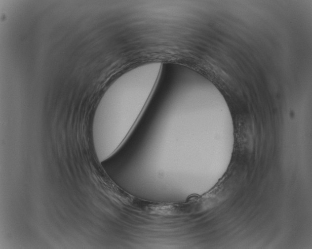 X0000086740132200704130742