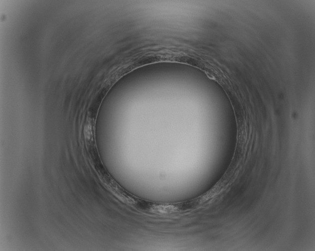 X0000086740137200704130742