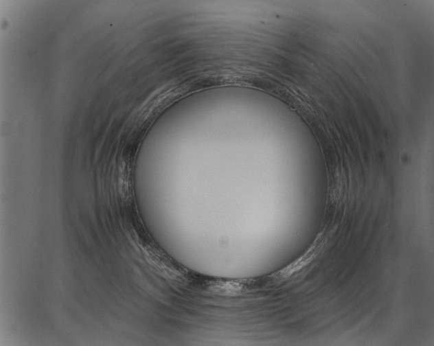 X0000086740140200704130742