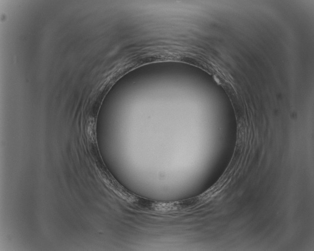 X0000086740141200704130742