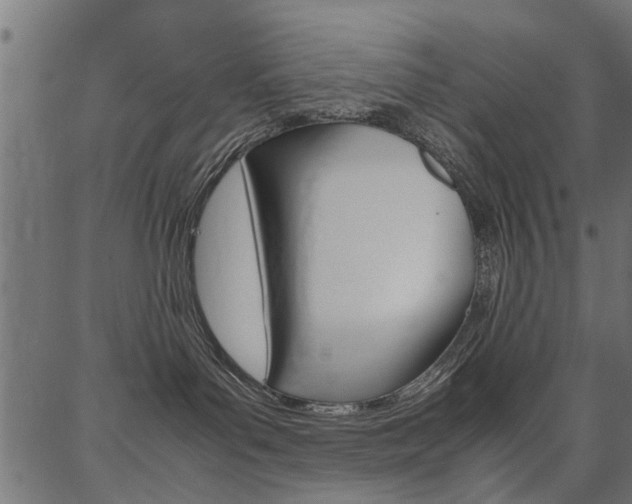 X0000086740143200704130742