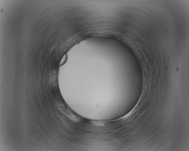X0000086740144200704130742