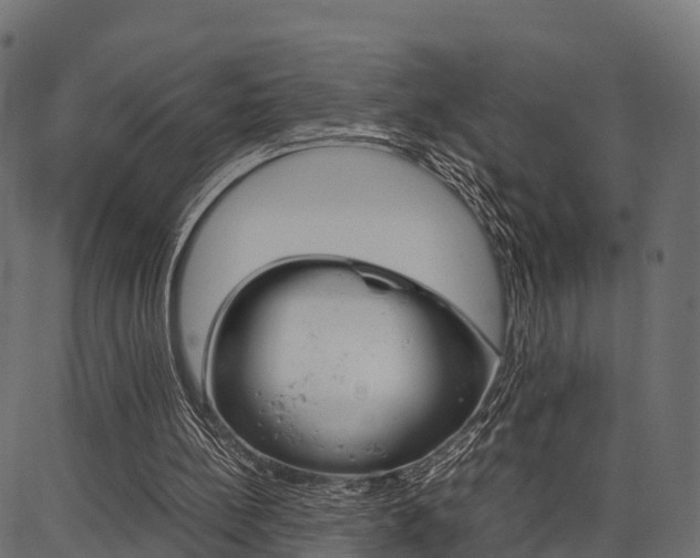 X0000086740148200704130741