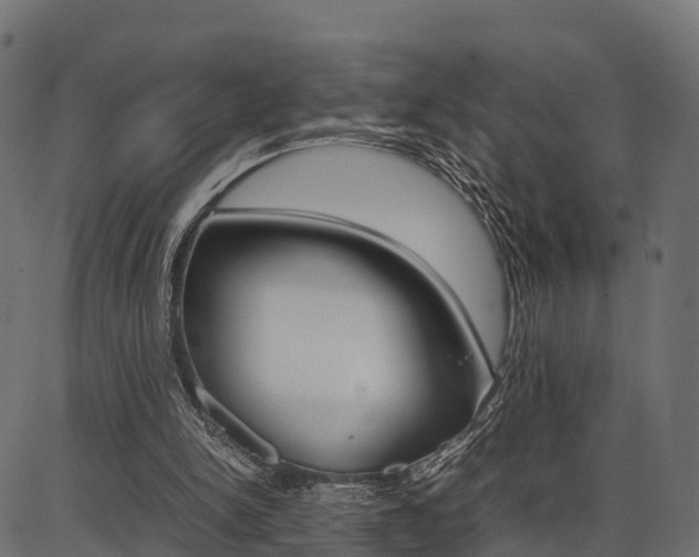 X0000086740150200704130741