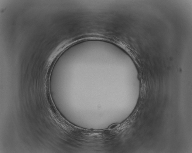 X0000086740151200704130741