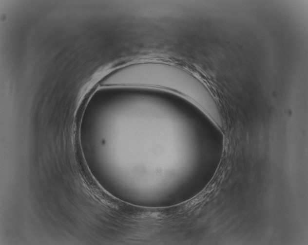 X0000086740152200704130741