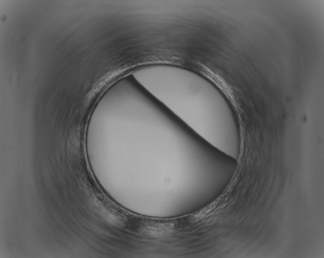 X0000086740155200704130741