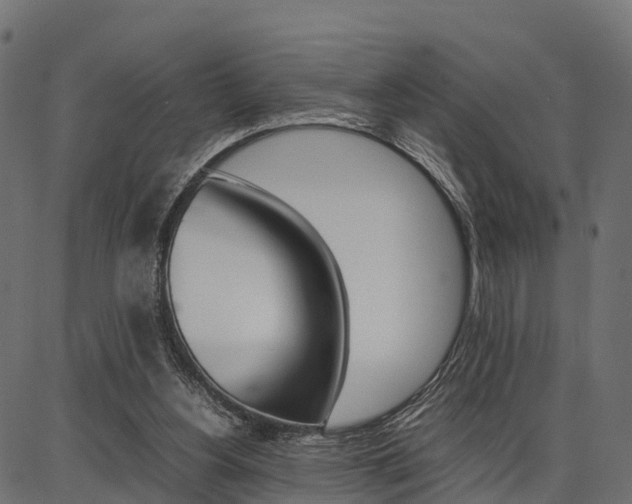 X0000086740156200704130741