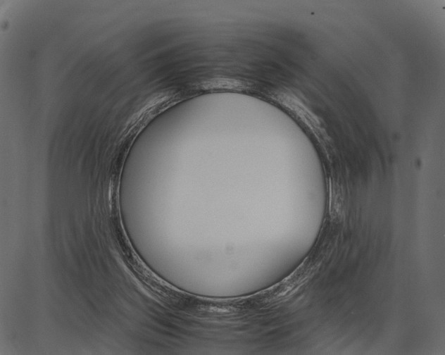 X0000086740157200704130741