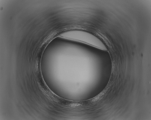 X0000086740158200704130741