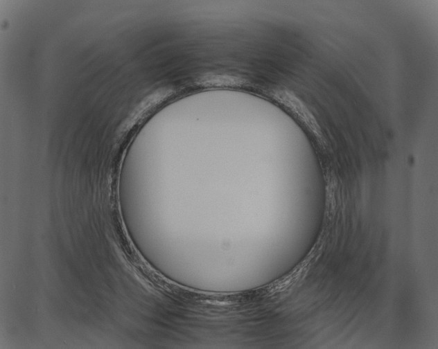 X0000086740159200704130741
