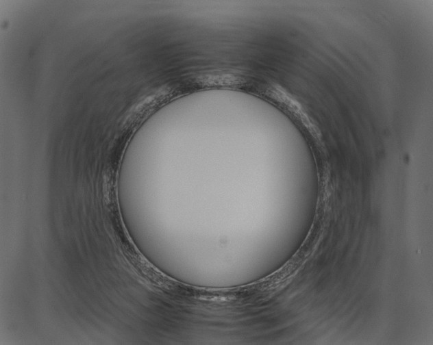 X0000086740161200704130741