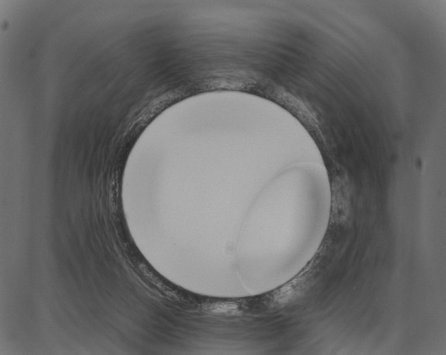 X0000086740162200704130741