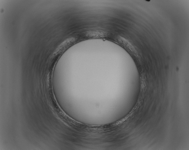 X0000086740163200704130741