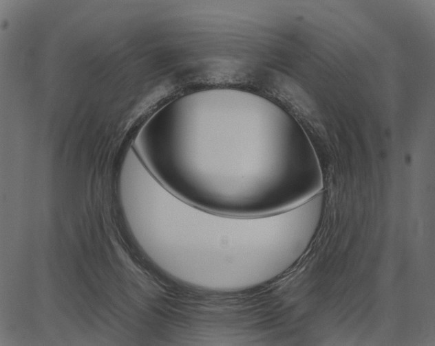 X0000086740164200704130741