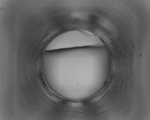 X0000086740165200704130741