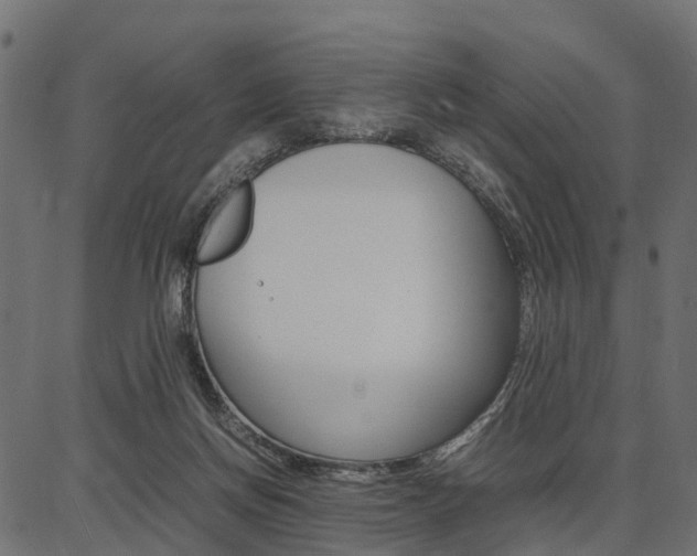 X0000086740166200704130742