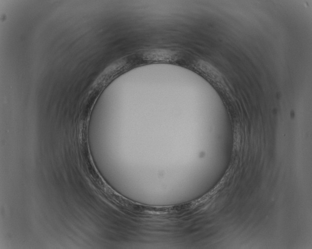 X0000086740167200704130742