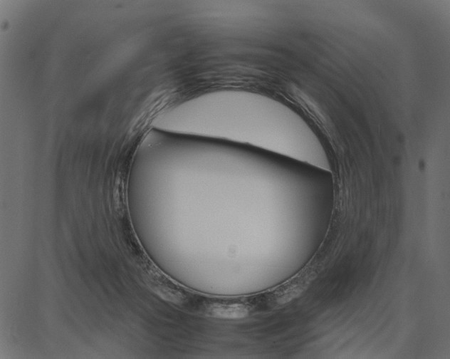 X0000086740169200704130742