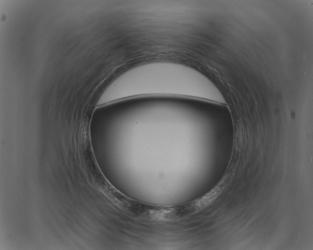X0000086740172200704130742