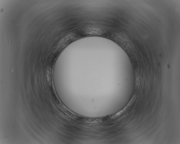 X0000086740175200704130742