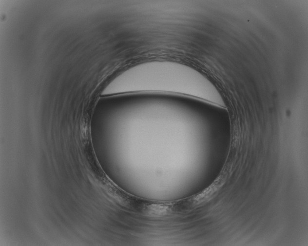 X0000086740176200704130742