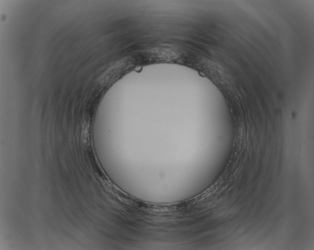 X0000086740177200704130742