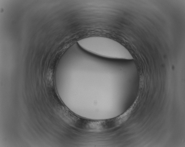 X0000086740178200704130742