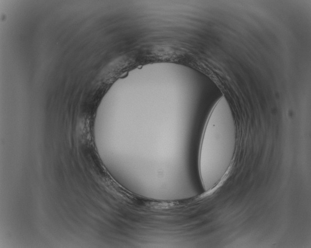X0000086740182200704130742