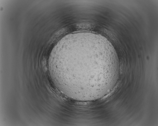 X0000086740187200704130742