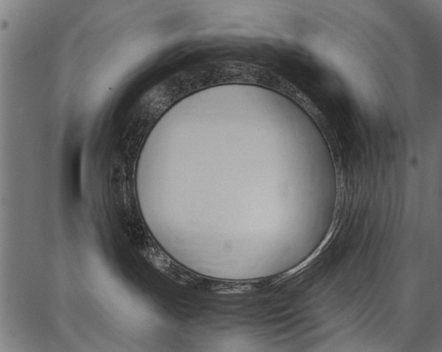 X0000086740191200704130742
