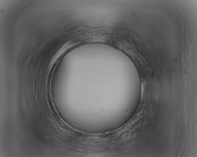 X0000086740195200704130741